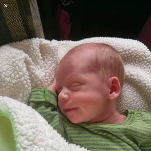 Meet your Posher, Jayne